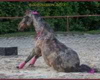 2-13JUIN 0123